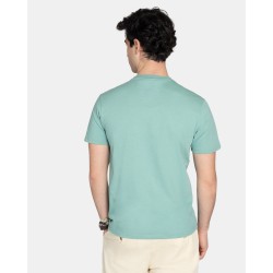 CAMISETA NEW ENGLAND VERDE