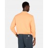 SUDADERA NEW ENGLAND